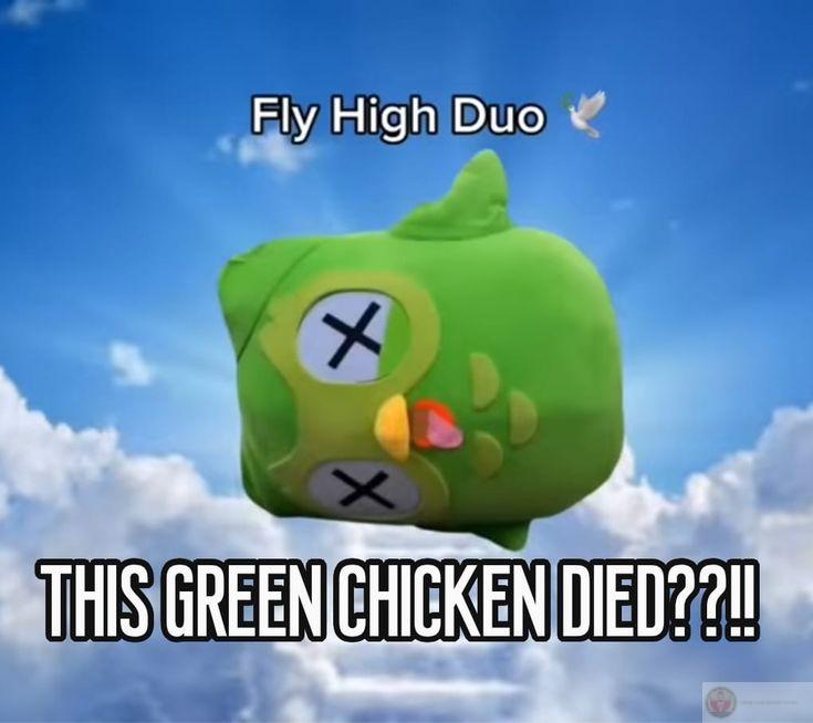 Meme Duolingo giúp người học thấy được sự thú vị ngay cả khi bị nhắc nhở học tập