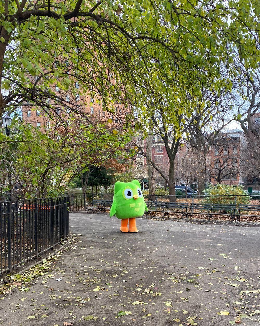 Meme Duolingo giúp người học cảm thấy việc ôn tập dễ tiếp thu hơn trước