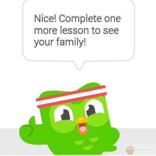 Meme Duolingo đã trở thành phần không thể thiếu trong thế giới ảnh chế online