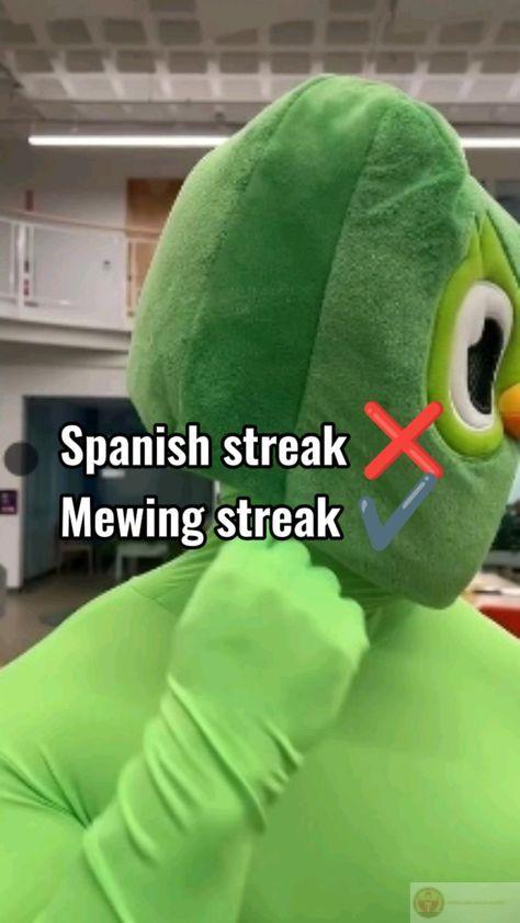 Meme Duolingo đã trở thành một phần quen thuộc của văn hóa ảnh chế toàn cầu