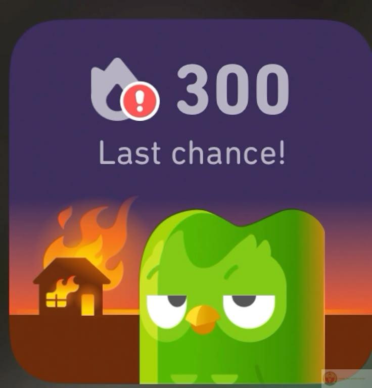 Hình ảnh Duolingo meme thường gắn liền với sự hóm hỉnh đầy dí dỏm trẻ trung