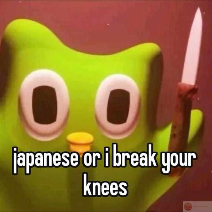 Duolingo meme trở thành trào lưu lan rộng với vô số phiên bản chế sáng tạo