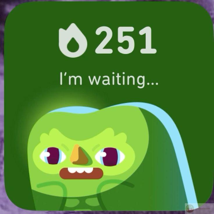 Duolingo meme trở thành biểu tượng chế ảnh dễ thương nổi bật trong đời sống mạng