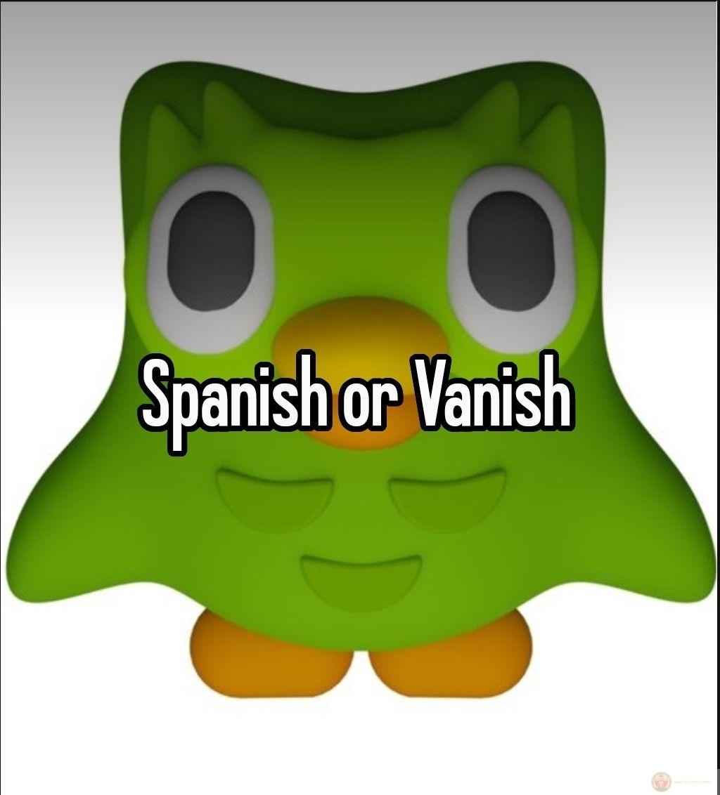 Duolingo meme tiếp tục chứng minh sức hút bền bỉ trong đời sống giải trí hàng ngày