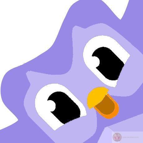 Meme Duolingo lan truyền nhanh chóng chứng minh sức hấp dẫn lớn trong cộng đồng