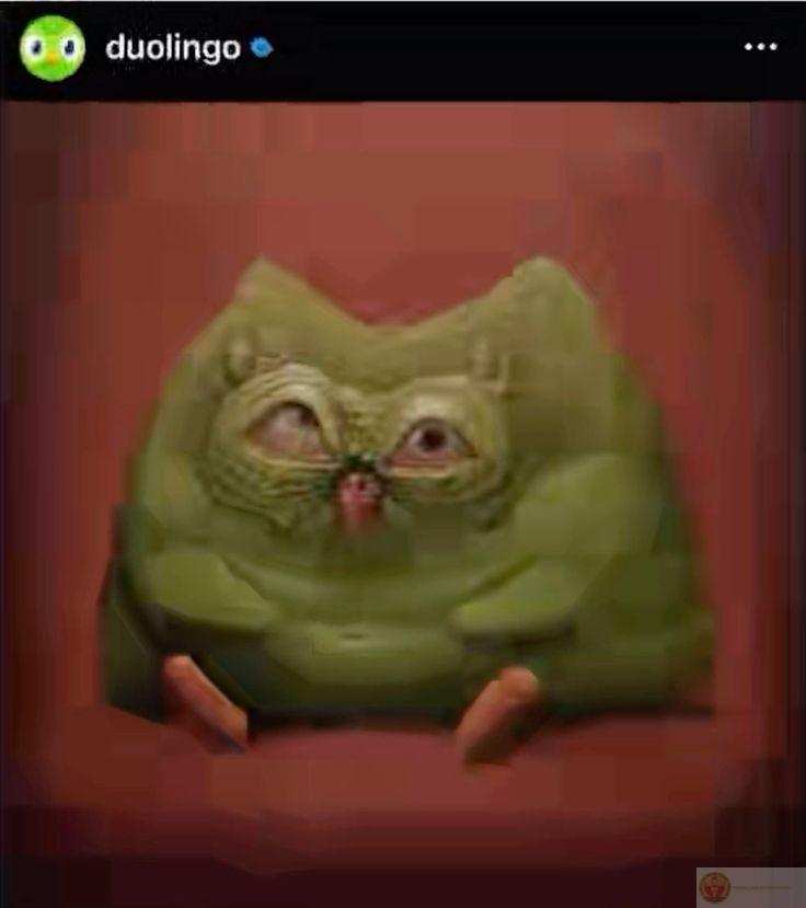 Duolingo meme thường xuyên xuất hiện trong các bài đăng giải trí của giới trẻ