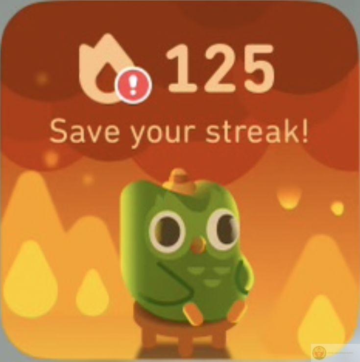 Duolingo meme tạo nên bầu không khí vui nhộn trong các buổi học ngoại ngữ online