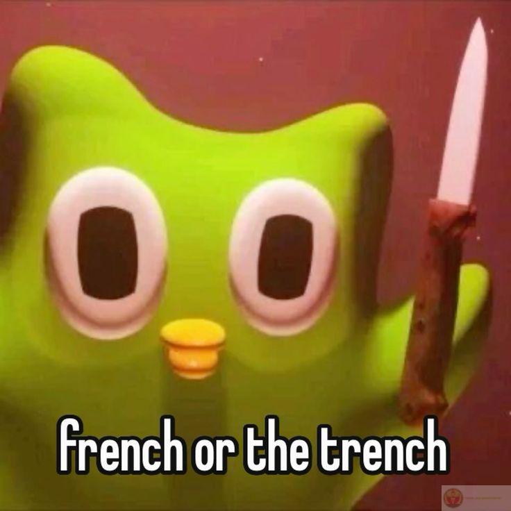 Duolingo meme nhanh chóng trở thành xu hướng nổi bật trong cộng đồng mạng Việt Nam