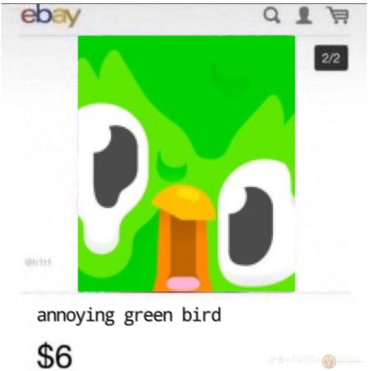 Duolingo meme ngày càng phổ biến, chứng minh sức hút lâu dài của ảnh chế