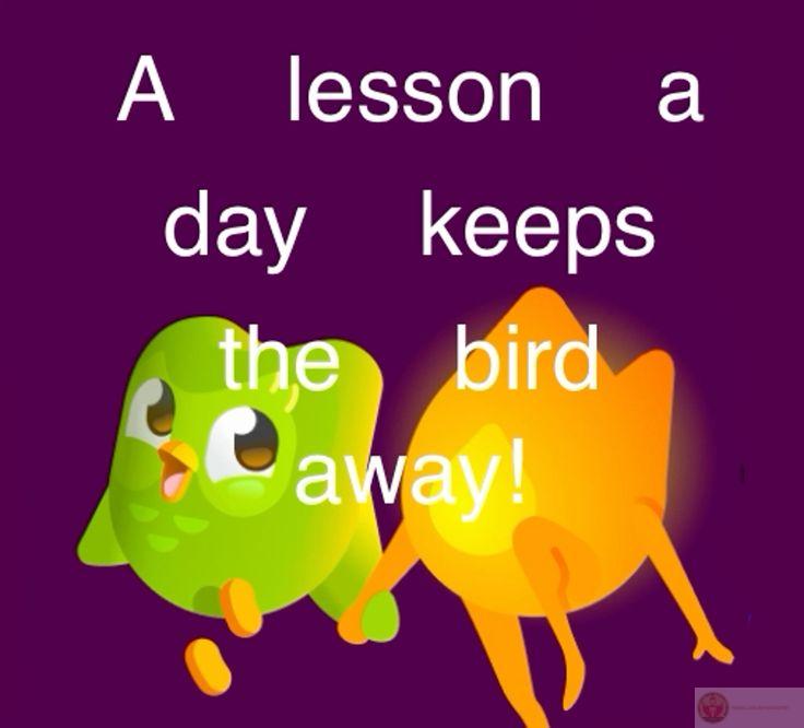 Duolingo meme mang lại tiếng cười giản dị giúp người học thêm phần hứng thú