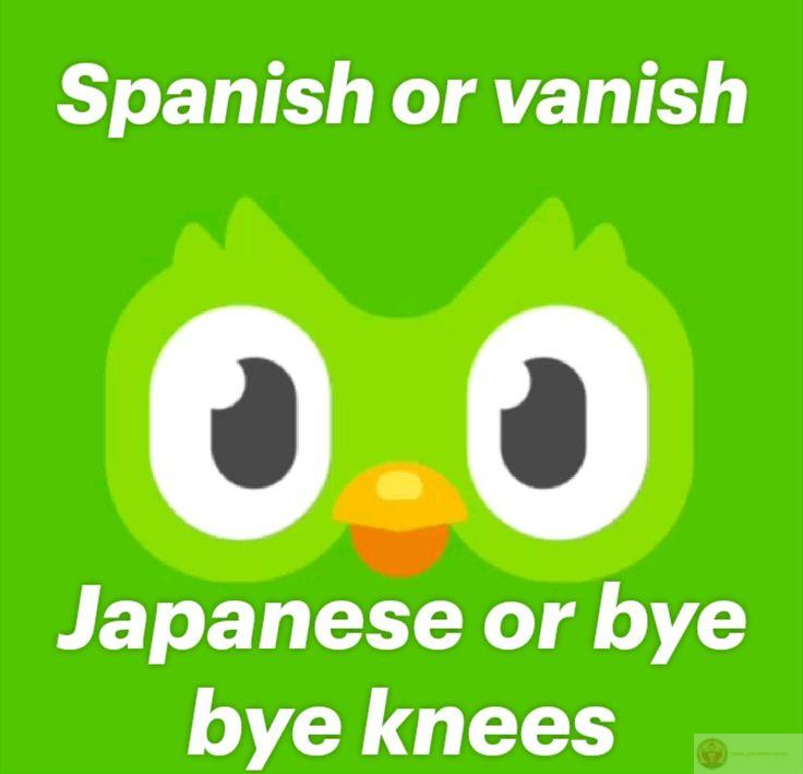 Duolingo meme khiến việc học trở nên gần gũi và thân thiện với người trẻ hơn
