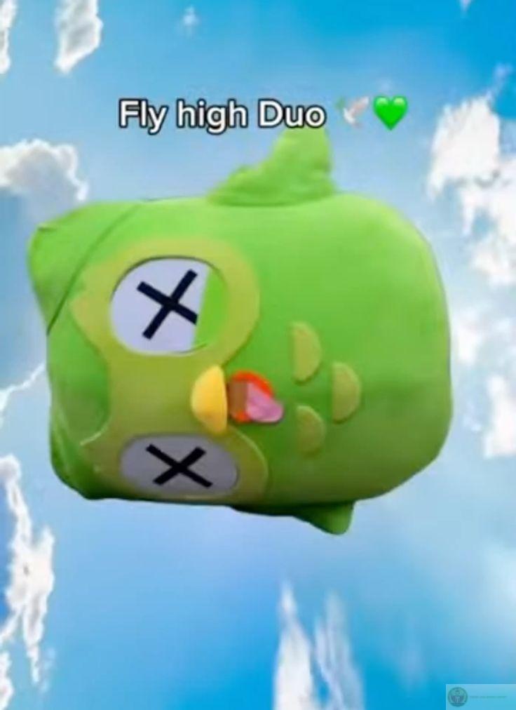 Duolingo meme khiến việc học tập trở thành hành trình vui vẻ và bớt nặng nề
