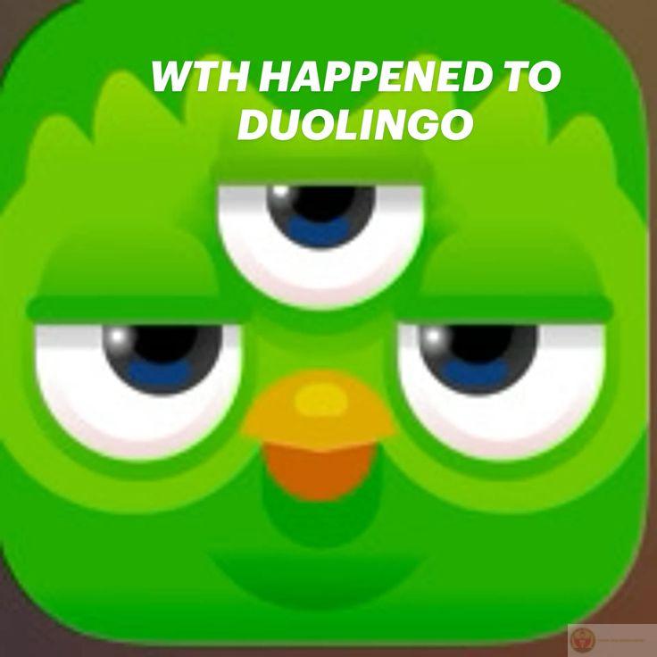 Duolingo meme đã trở thành xu hướng nổi bật trong kho ảnh chế toàn cầu
