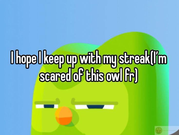 Ai cũng dễ dàng nhận ra sự đáng yêu của chú chim xanh qua các Duolingo meme