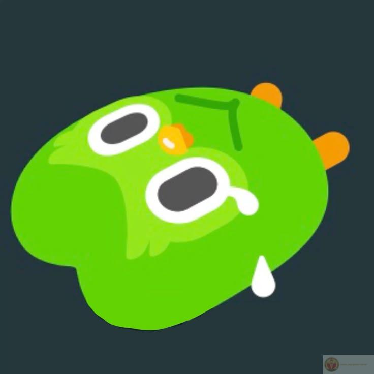 Người học tìm thấy sự thoải mái khi chia sẻ Duolingo meme với bạn bè mỗi ngày