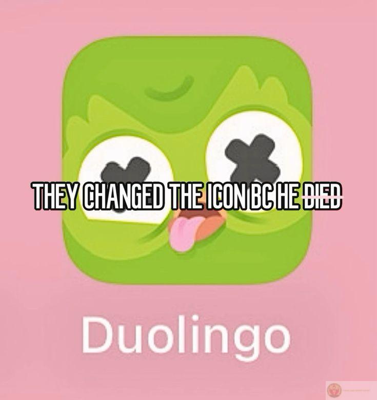 Người học ngoại ngữ thường dùng Duolingo meme để xua tan cảm giác nhàm chán