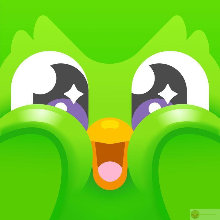 Người học dùng Duolingo meme như một cách tự trào để bớt áp lực học tập