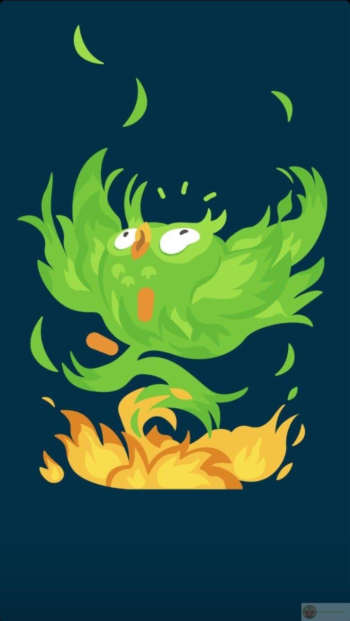 Người dùng thường tìm đến Duolingo meme để giải trí sau giờ học căng thẳng