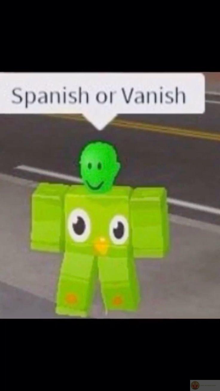 Meme Duolingo giúp việc học ngoại ngữ bớt khô khan và trở nên dễ tiếp thu hơn
