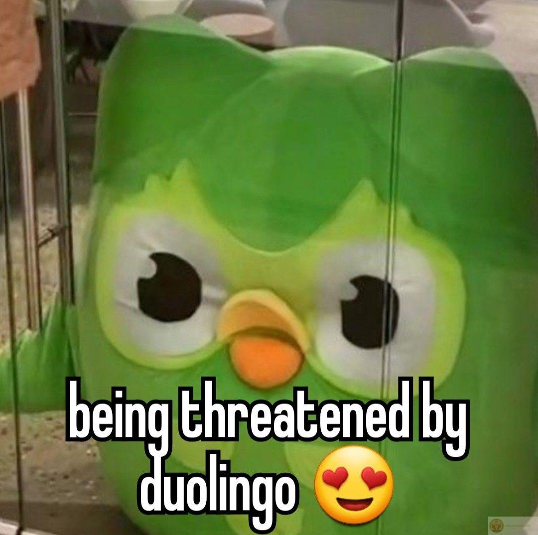 Meme Duolingo giúp việc học ngoại ngữ bớt khô khan và thêm phần thú vị đáng nhớ