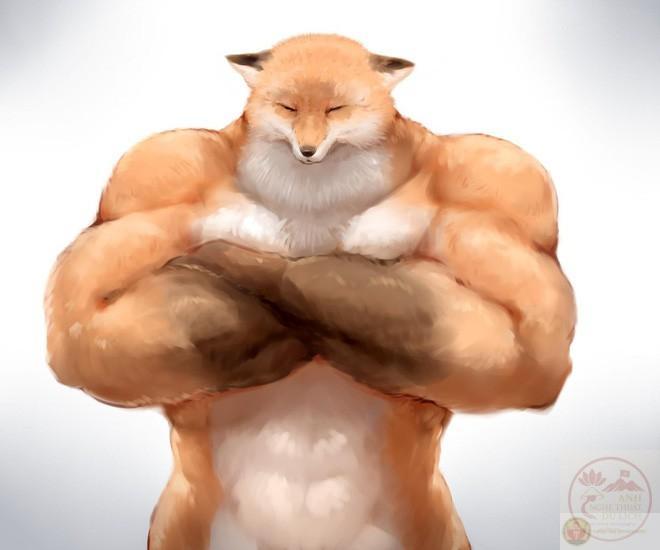 Mèo kawaii săn chắc hình thể nhưng ánh mắt hồn nhiên.