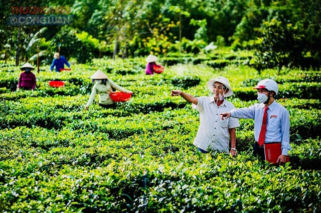 Tác phẩm “Bình thường mới trên Vườn chè Gò Loi” của tác giả Lê Phước Thịnh (Chi nhánh Agribank huyện Hoài Ân) đoạt giải Nhất Cuộc thi.