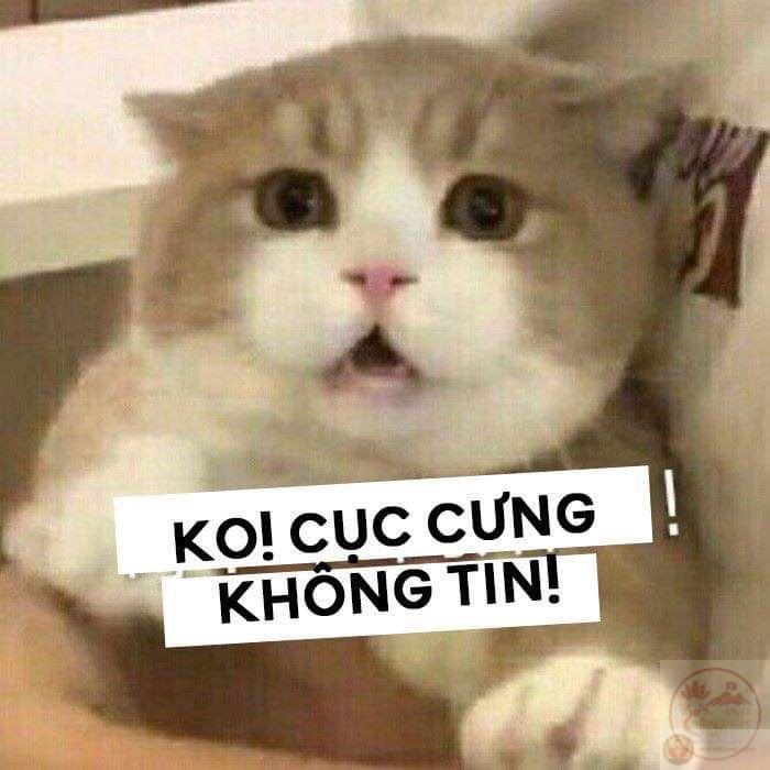 Không tin trở thành câu cửa miệng phản ứng trước chuyện khó hiểu.