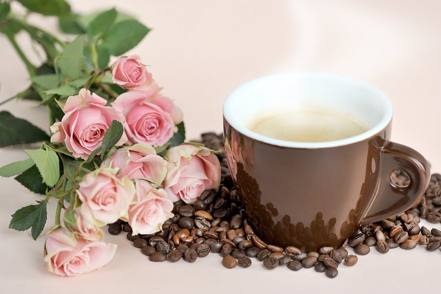 Ảnh cà phê tuyệt đẹp