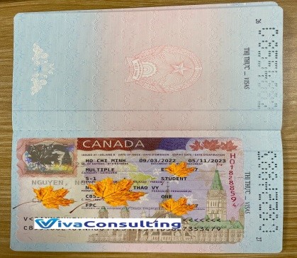 visa khách hàng thành công tại viva consulting 2