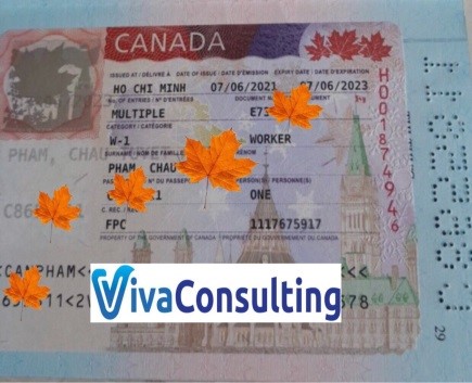 visa khách hàng thành công tại viva consulting 15
