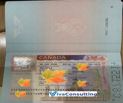 visa khách hàng thành công tại viva consulting 14