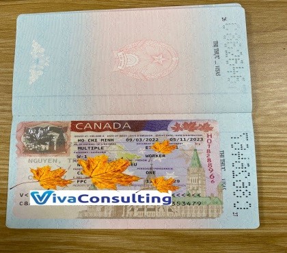 visa khách hàng thành công tại viva consulting 3
