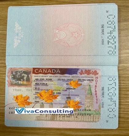 hình ảnh visa vợ và con anh T 1