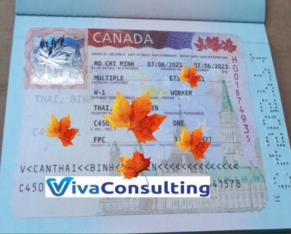 visa khách hàng thành công tại viva consulting 5