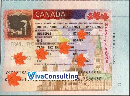 visa khách hàng thành công tại viva consulting 11