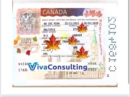 visa khách hàng thành công tại viva consulting 12