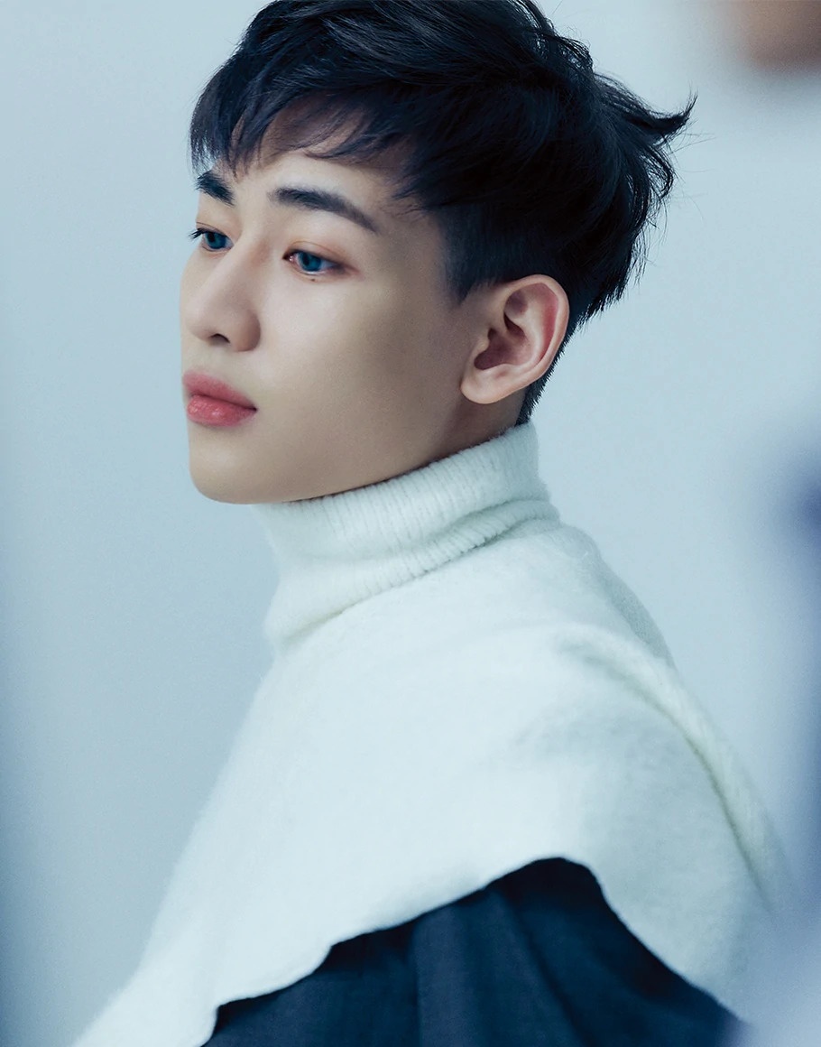ly do nhom nhac kpop dong thanh vien anh 10