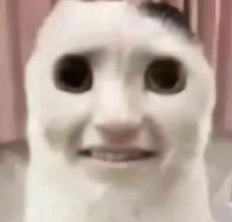Meme động vật