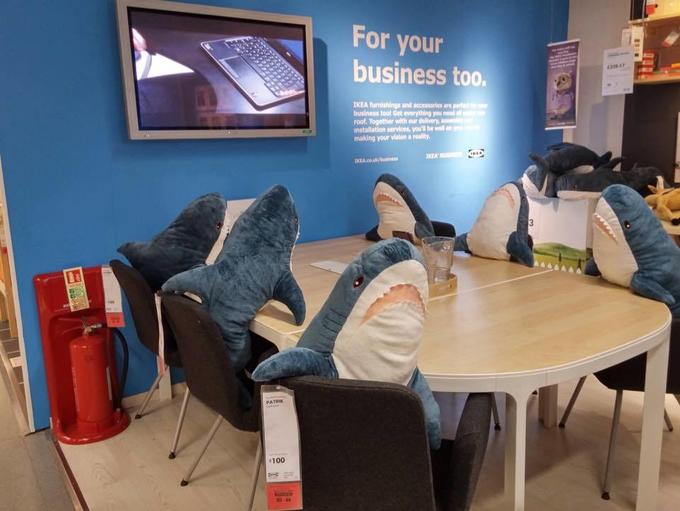 six blahaj plushes sitting around a table