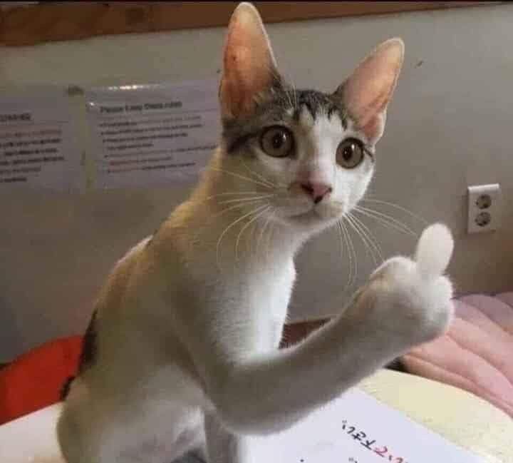 Mỗi ngày là một pha xử lý đi vào lòng đất