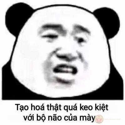 Tiếng cười lan tỏa nhanh chóng khi bạn bè chia sẻ cùng nhau meme ngu
