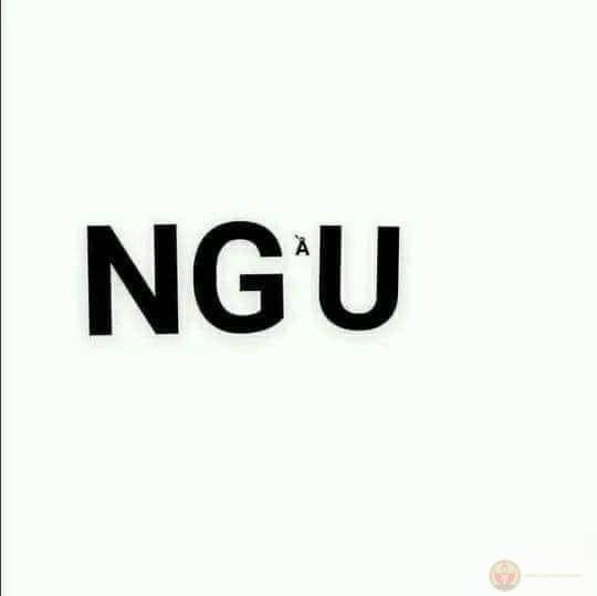 Meme ngu gắn liền với nhiều câu chuyện hài hước của cộng đồng mạng
