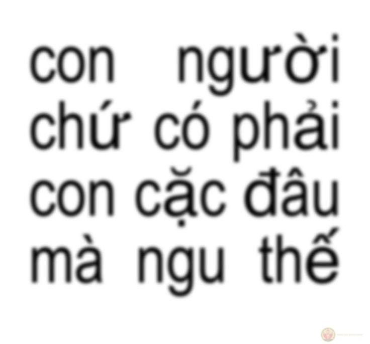 Meme ngu không cần cầu kỳ vẫn đủ sức tạo thành trào lưu đình đám