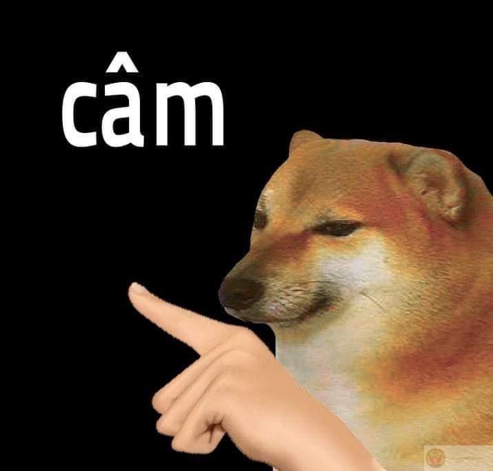 Meme ngu thì nín