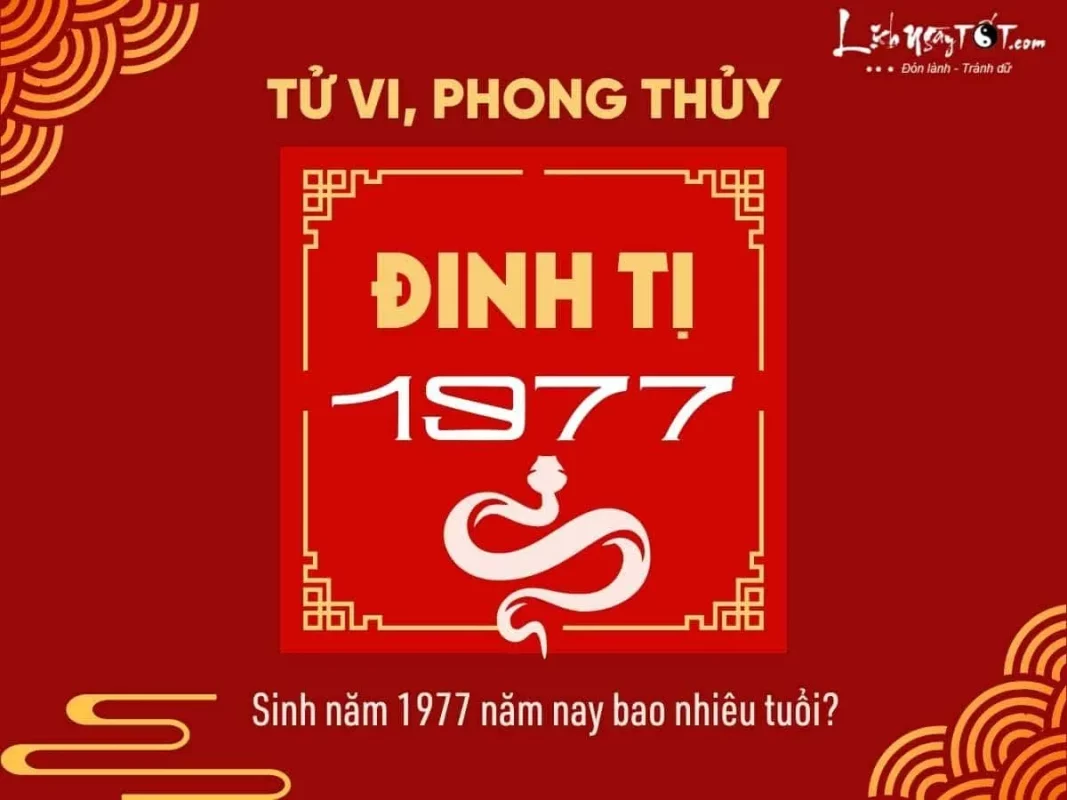 1977 bao nhiêu tuổi? Cách tính & vận mệnh