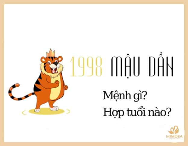 1998 Hợp Tuổi Nào? Giải Mã Tuổi Mậu Dần Hợp Kết Hôn, Làm Ăn