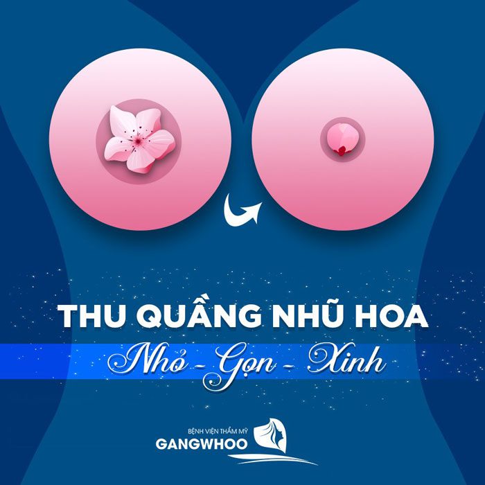 Thu Nhỏ Nhũ Hoa