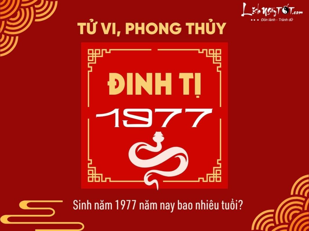 Đinh Tỵ 1977 Năm Nay Bao Nhiêu Tuổi? Tổng Quan Cuộc Đời Người Sinh Năm 1977