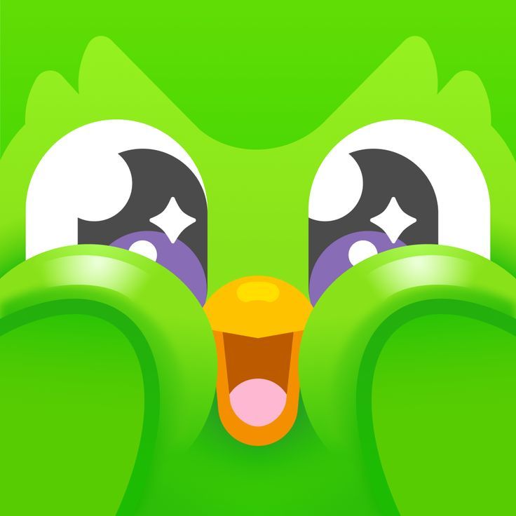 Người học dùng Duolingo meme như một cách tự trào để bớt áp lực học tập