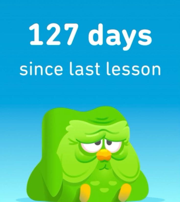 Duolingo meme đã khẳng định vị thế đặc biệt trong kho tàng chế ảnh trực tuyến